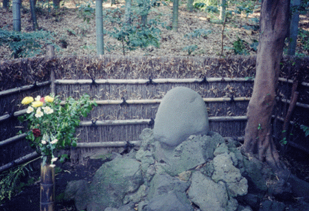 plate of kaguya park